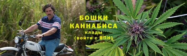 apvp Михайлов
